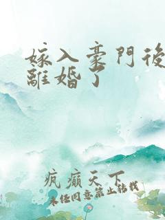 嫁入豪门后我又离婚了