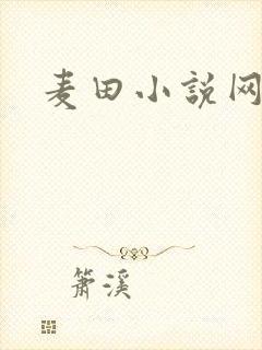 麦田小说网