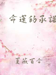 命运的承诺