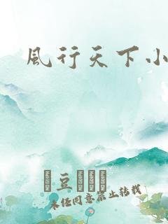 风行天下小说