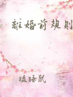 离婚前规则小说