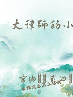 大律师的小老婆