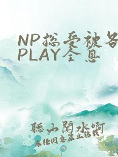 NP总受被各种PLAY全息