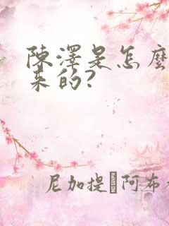 陈泽是怎么火起来的?