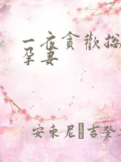 一夜贪欢总裁幸孕妻