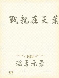 战龙在天叶凡