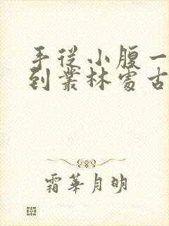 手从小腹一路开到丛林处古代