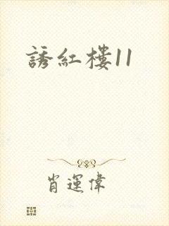 诱红楼11