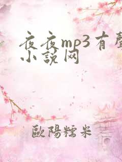 夜夜mp3有声小说网