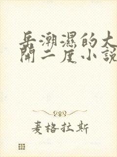 岳潮湿的大肥梅开二度小说