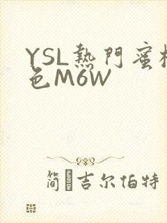 YSL热门蜜桃色M6W