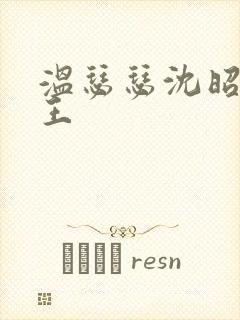 温瑟瑟沈昭摄政王