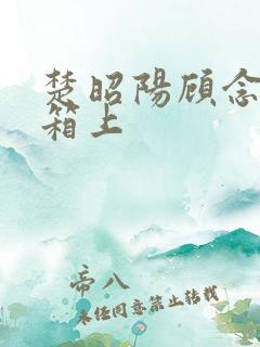 楚昭阳顾念在冰箱上