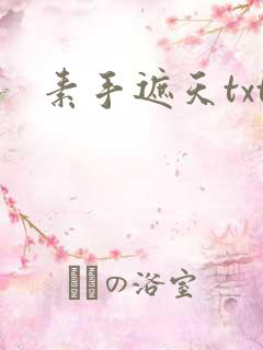 素手遮天txt