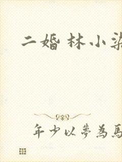二婚 林小染