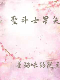 圣斗士星矢小说