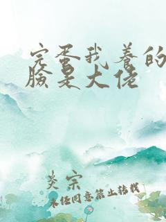 完蛋我养的小白脸是大佬