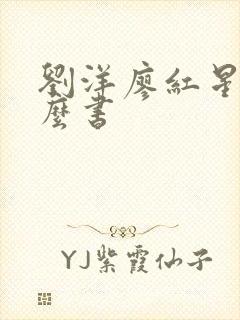 刘洋廖红星是什么书