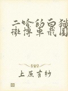 二哈的白猫师尊微博车截图