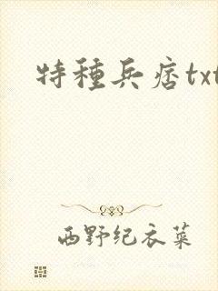 特种兵痞txt