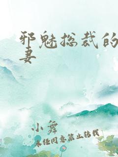 邪魅总裁的替身妻