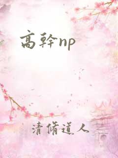 高干np