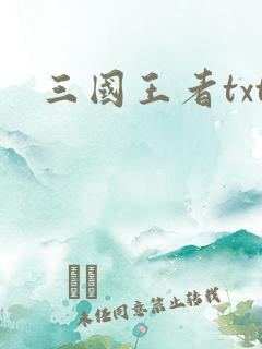 三国王者txt