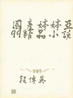 国产婷婷亚洲999精品小说