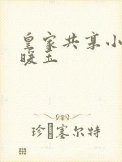 皇家共享小公主暖玉