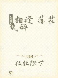 囍相逢 落花能几醉