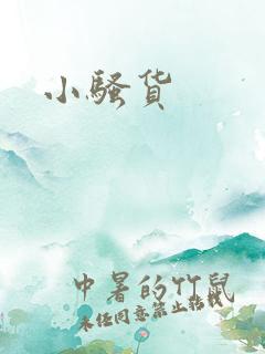 小骚货