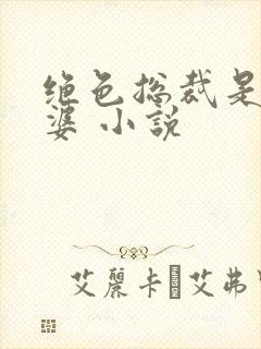 绝色总裁是我老婆 小说