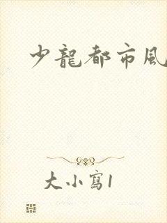 少龙都市风流行