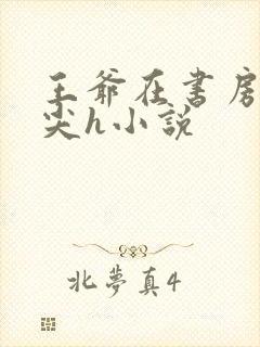 王爷在书房含乳尖h小说