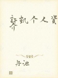 许凯个人资料简介