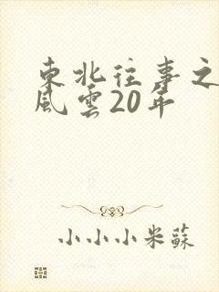 东北往事之黑道风云20年
