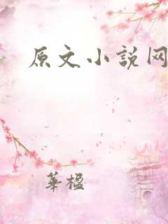 原文小说网