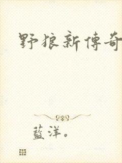 野狼新传奇