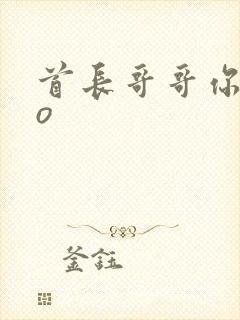 首长哥哥你好po