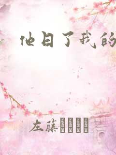 他日了我的B