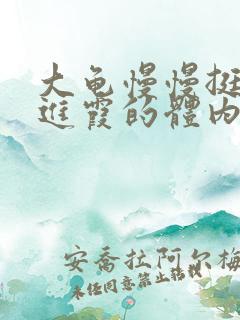 大龟慢慢挺进王进霞的体内