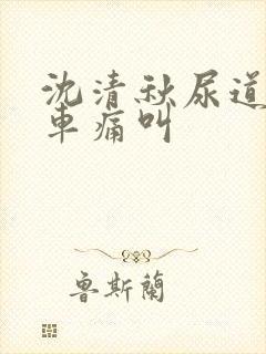 沈清秋尿道扩张车痛叫