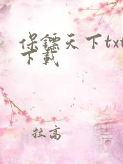 保镖天下txt下载