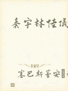 秦宇林佳仪小说