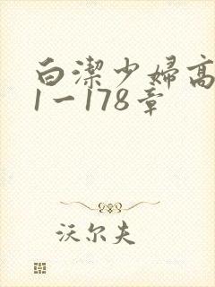 白洁少妇高义第1一178章