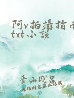 阿v拍摄指南说txt小说
