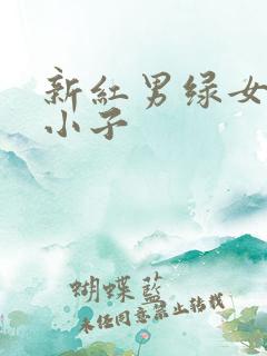 新红男绿女之坏小子