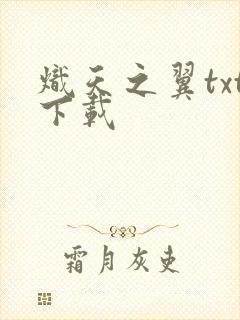 炽天之翼txt下载