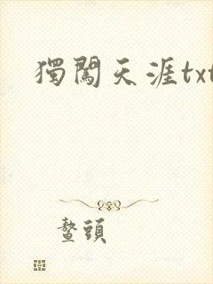 独闯天涯txt