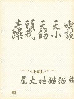 老头天天吃我奶躁我的小说